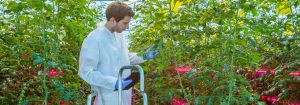 Un pas de plus vers une production continue sur toute l'année
