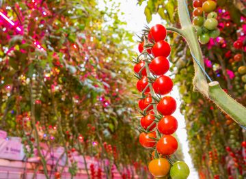 Un système qui évolue au rythme de la production