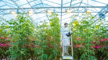 Le Jardin de Rabelais Body