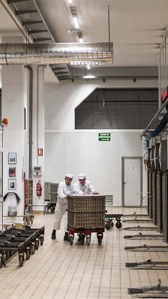Dans l’usine Hero, ces deux hommes travaillent sous des lampes Philips prévues pour l’industrie alimentaire
