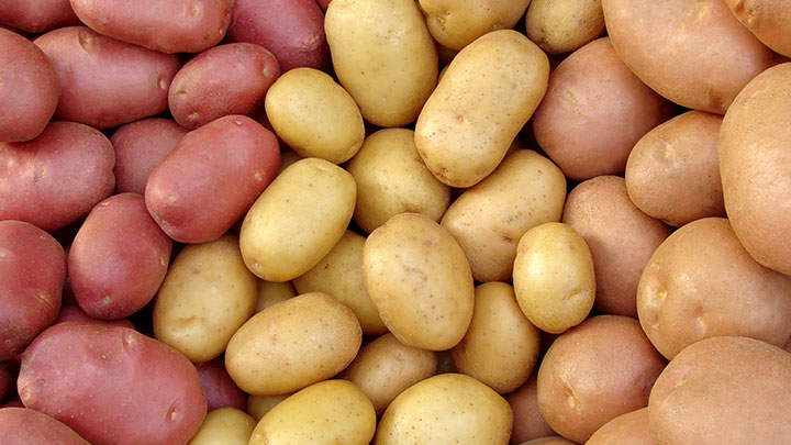 FreshFood-Philips-Supermarket-Lighting
