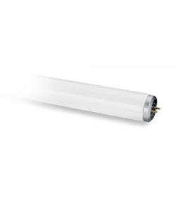 Ampoules fluocompactes en forme de tube