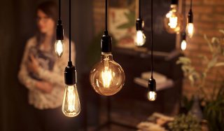 "Des ampoules à filament LED de style vintage aux formes variées illuminent la salle à manger, créant une ambiance chaleureuse et présentant des solutions d'élairage décoratif et économes en énergie pour les intérieurs de maison modernes."