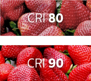 "Comparaison de fraises sous un éclairage CRI 80 et CRI 90, démontrant un rendu des couleurs amélioré pour les présentoirs de produits frais. »