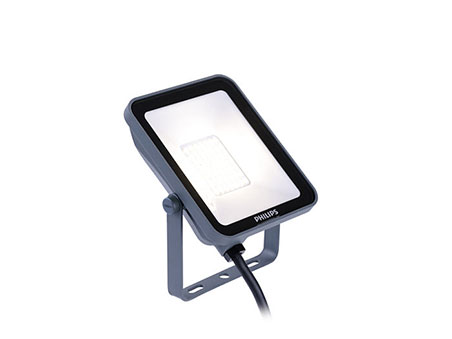 Ledinaire Floodlight