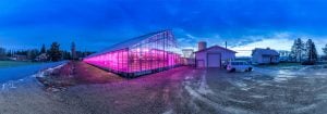 Éclairage DEL Philips pour l’horticulture
